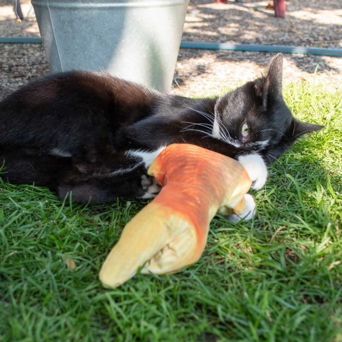 Robocat Goldfisch - 30 cm