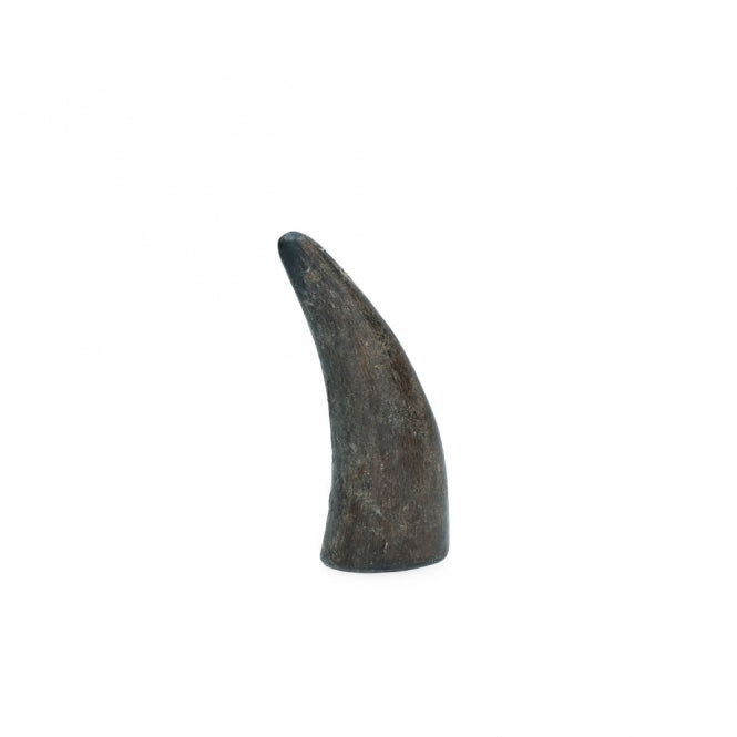 Viking whole Horn solid - L