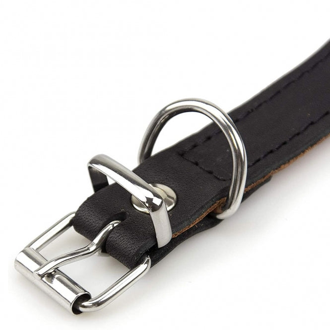 Karlie Rondo Windhund-Halsband - Schwarz - 55cm/60mm