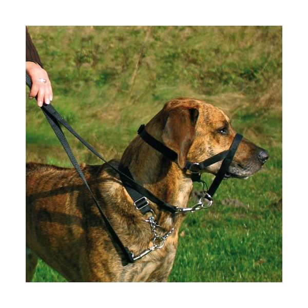 Trixie Top Trainer Ausbildungsgeschirr - max. 46 cm