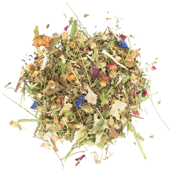 JR Farm Kräuter-Oase im Eimer 470g