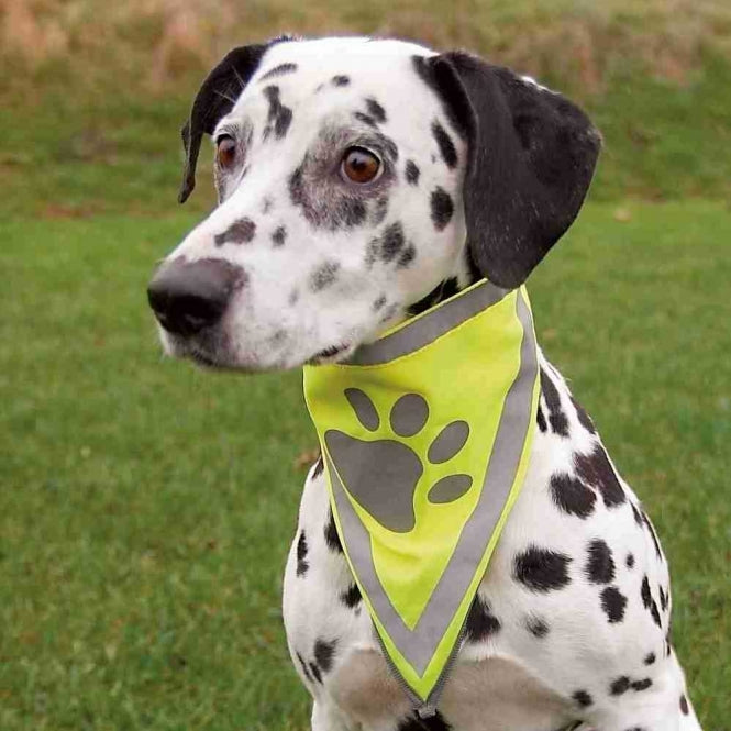 Trixie Sicherheitshalstuch - XS-S