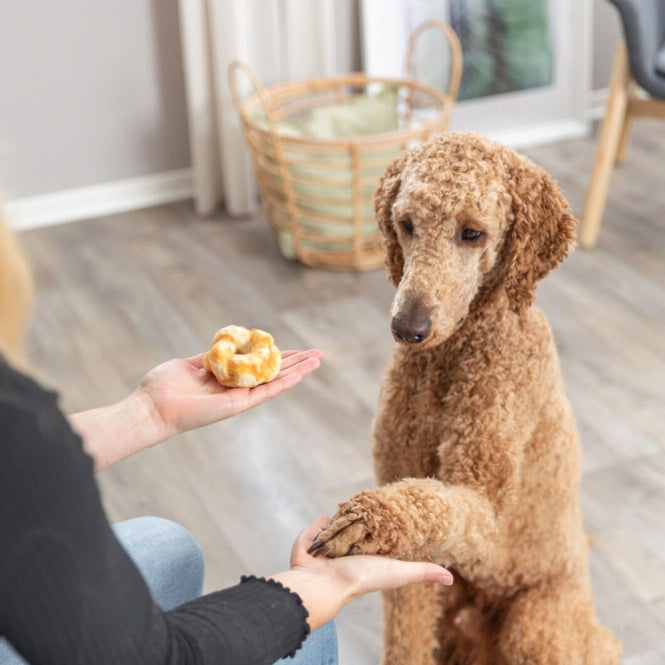 Trixie Denta Fun Twists aus Kollagen - 2 St./85 g