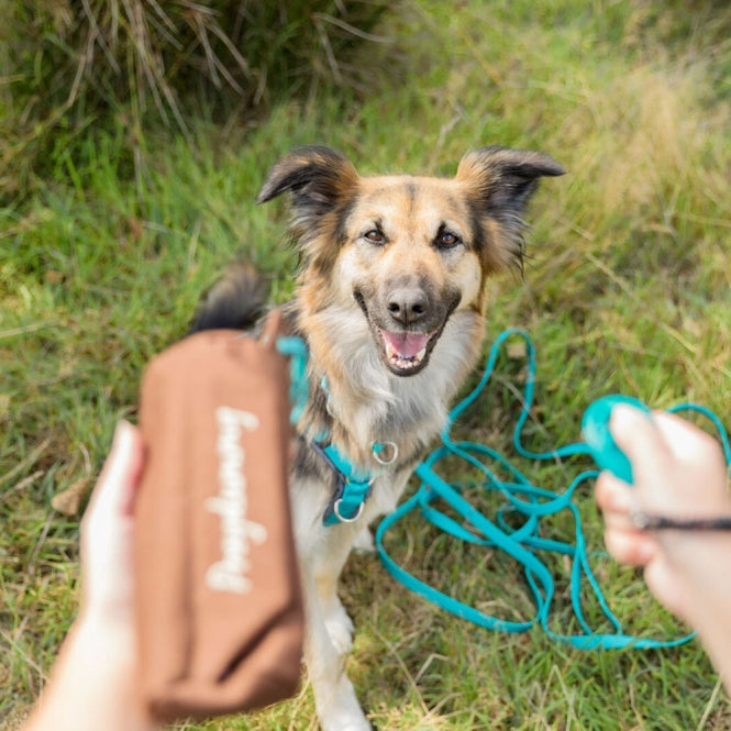 Trixie Preydummy - Canvas, Braun - 5 x 12 cm