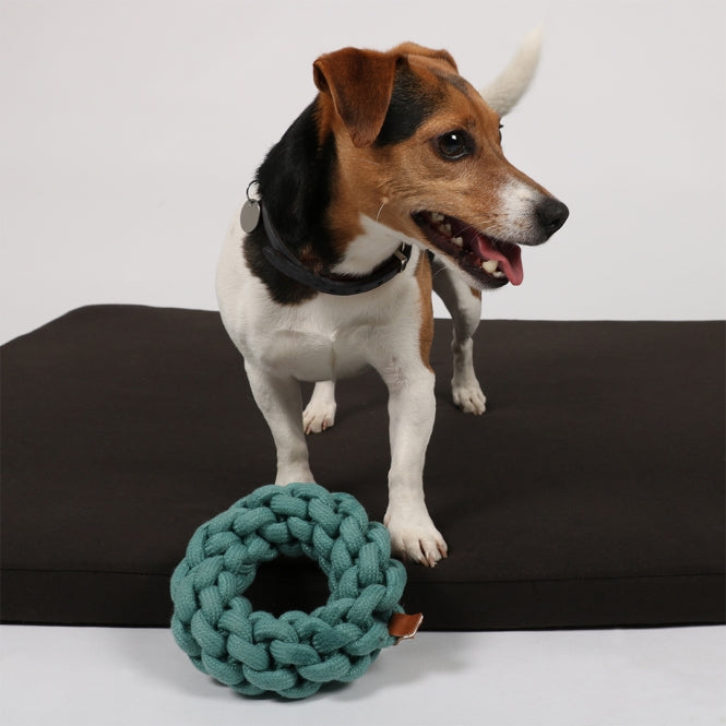 D&D Baumwollring Ben - blau - 13 x 13 x 4,5cm