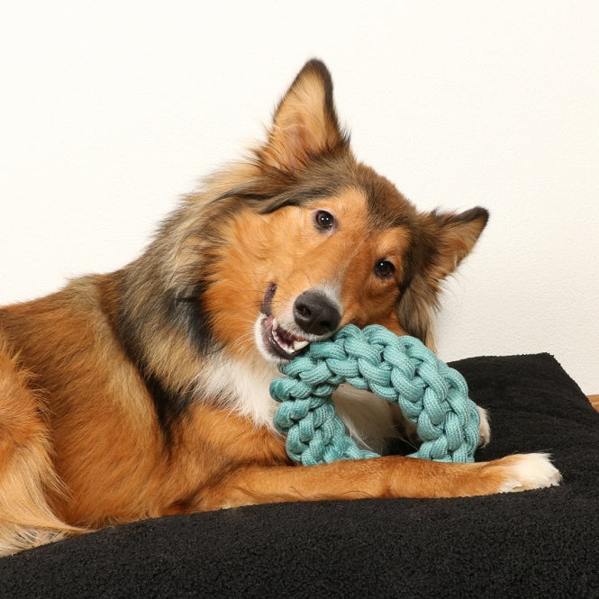 D&D Baumwollring Ben - blau - 19 x 19 x 5cm