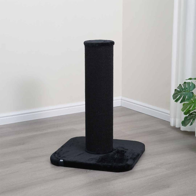 EBI Kratzstamm London - Schwarz