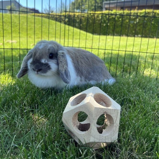 DUVO Duvoplus Holz-Spielball – Kleintierzubehör