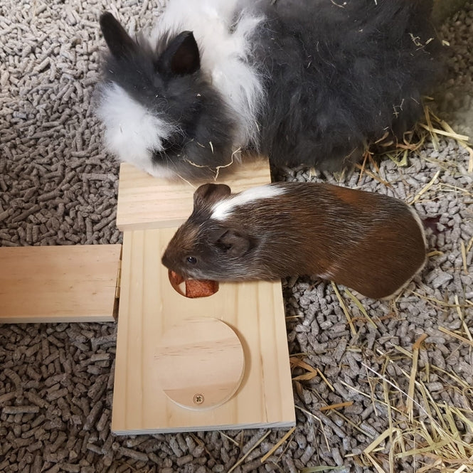 DUVO Duvoplus Sniffle n Snack Puzzle Dan – Kleintierzubehör