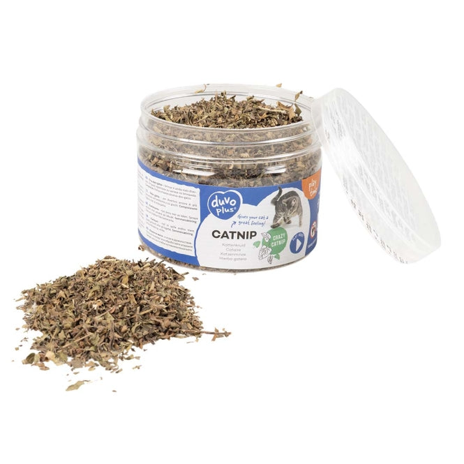 DUVO Duvoplus Katzenminze Dose 30g – Katzenspielzeug