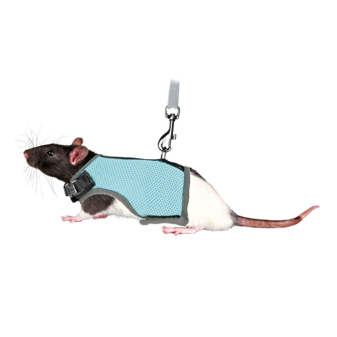 https://www.zoodrop.de/out/pictures/generated/product/3/665_665_100/61511-1.jpg