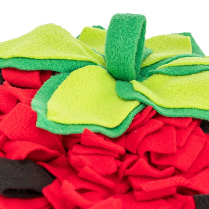 Trixie Schnüffelteppich Erdbeere für Kleintiere