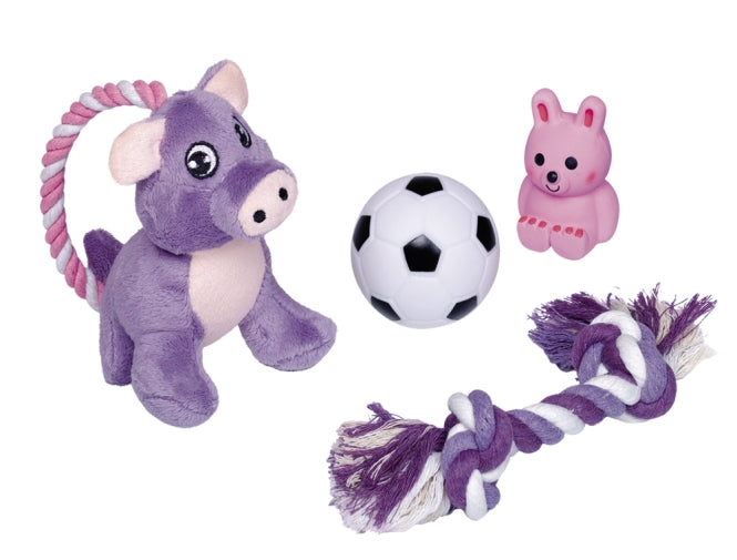 Nobby Puppy Starter Set - 4 teilig – Hundespielzeug