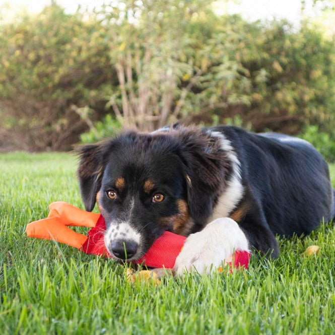 Hozies Jeffrey Jungle aus Feuerwehrschlauch - Small