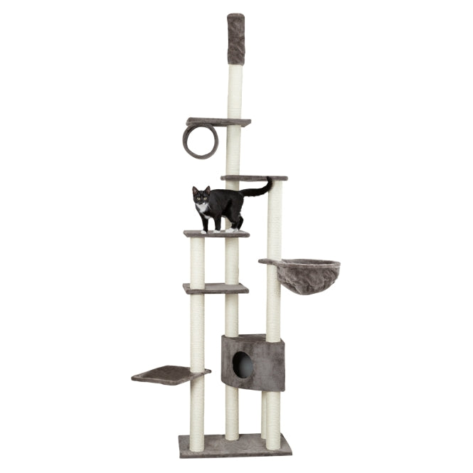 Trixie Kratzbaum MADRID - Grau