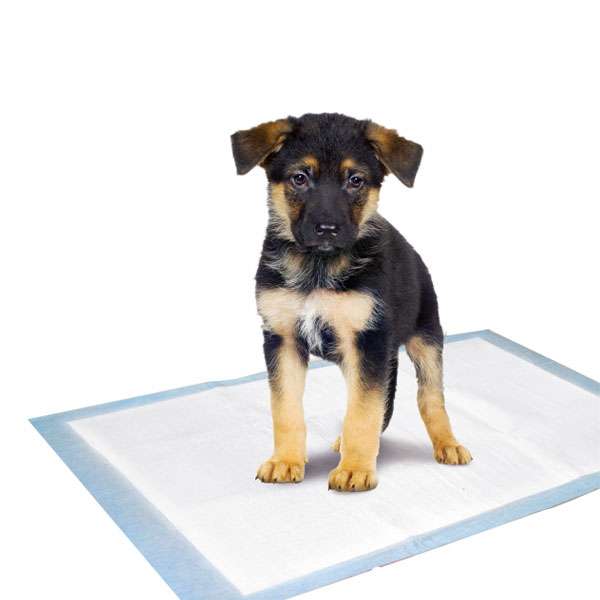 Karlie Flamingo Puppy Pads Trainingsmatten - 35 x 45 cm / 10 Stk Tierbedarf