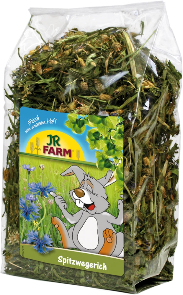JR Farm Spitzwegerich 100g, 6 Stück