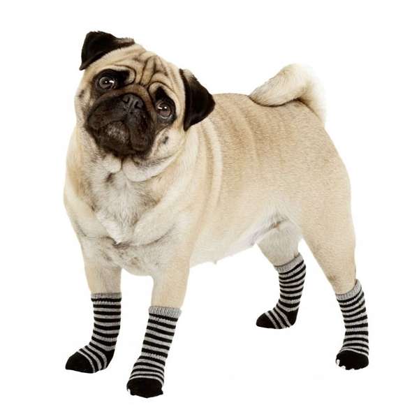 Karlie Doggy Socks Hundesocken 4er Set - Schwarz/Grau - S Hundefutter