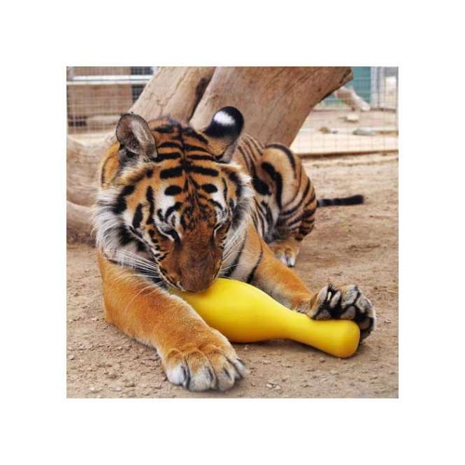 Tuggo Shake N Fetch - Small - von Tigern getestet! - Rot