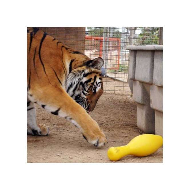 Tuggo Shake N Fetch - Small - von Tigern getestet! - Rot