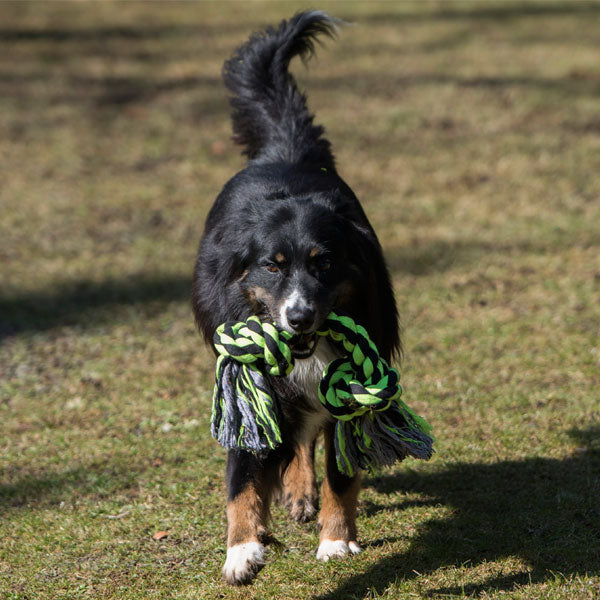 PROCYON XXL-Kauseil - 3 Knoten / 75 cm