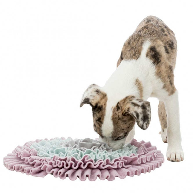 Trixie Junior Schnüffelteppich - 38 cm - Dein Tierplatz