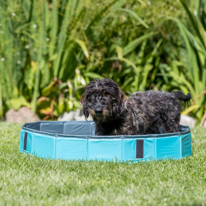 Trixie Hundepool - petrol/grau - ø 70 x 12 cm