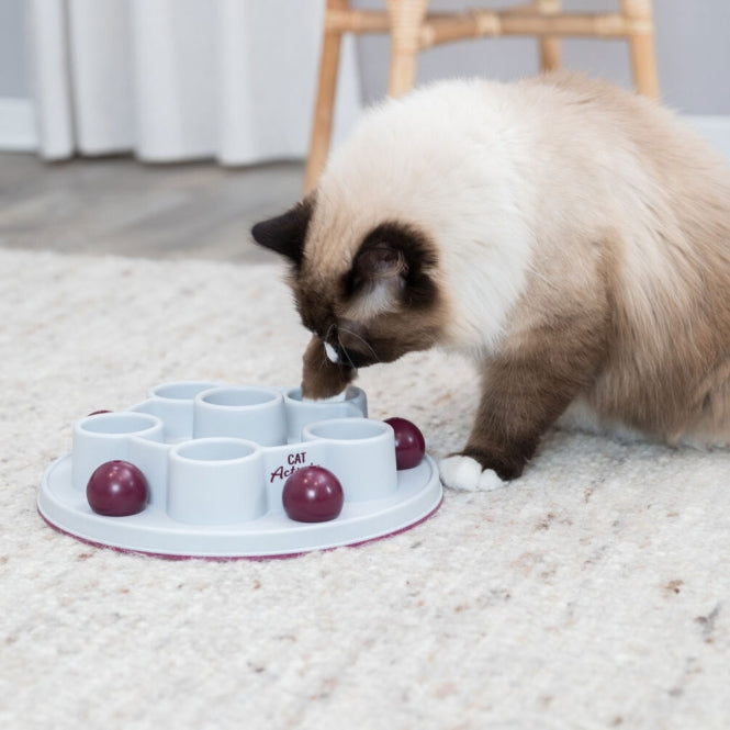 Trixie Cat Activity Pentagon