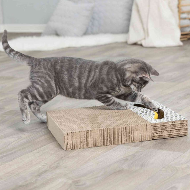 Trixie Kratzpappe bunt - 38 × 30 cm - Dein Tierplatz