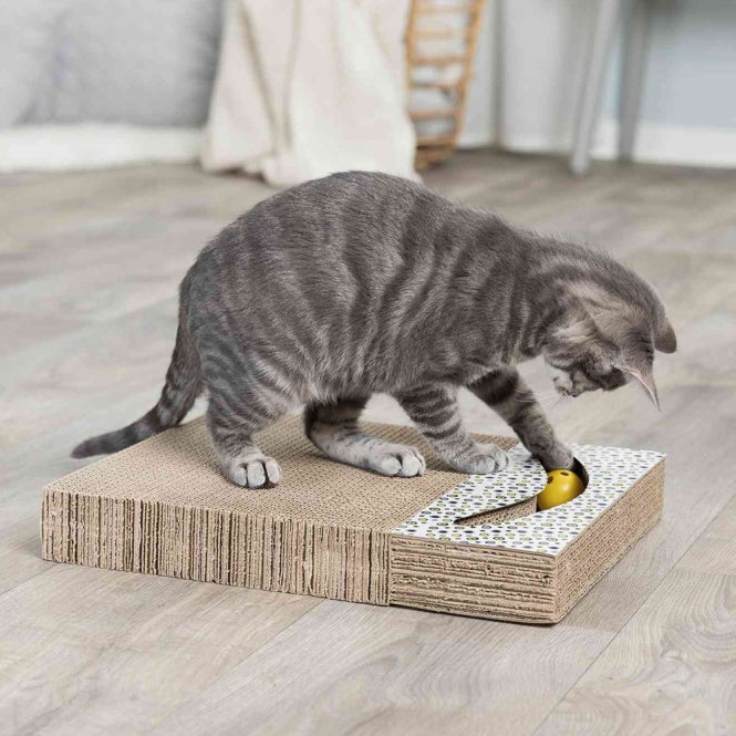 Trixie Kratzpappe bunt - 38 × 30 cm - Dein Tierplatz