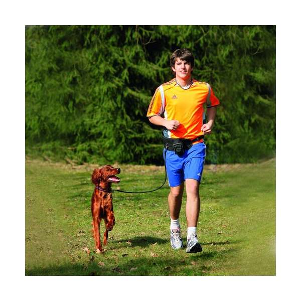 Karlie Doggy-Joggy Joggingleine - Dein Tierplatz