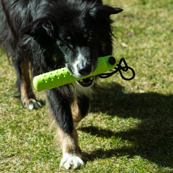 PROCYON Magic Treat Dummy - Dein Tierplatz