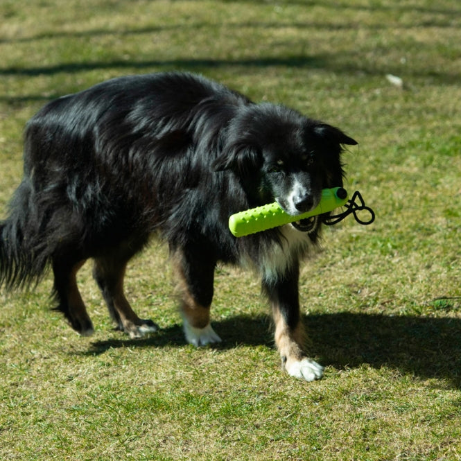 PROCYON Magic Treat Dummy - Dein Tierplatz