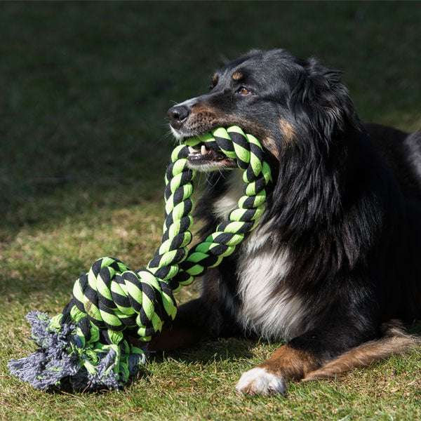 PROCYON XXL-Kauseil - 3 Knoten / 75 cm