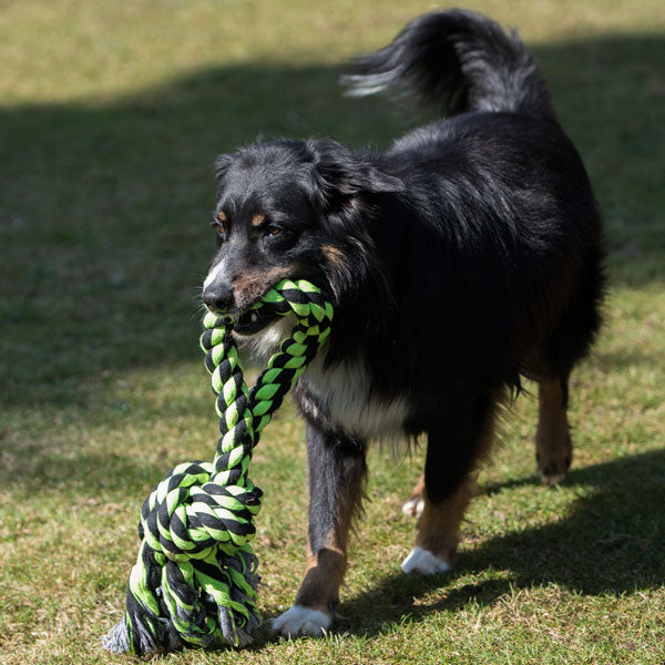 PROCYON XXL-Kauseil - Ring